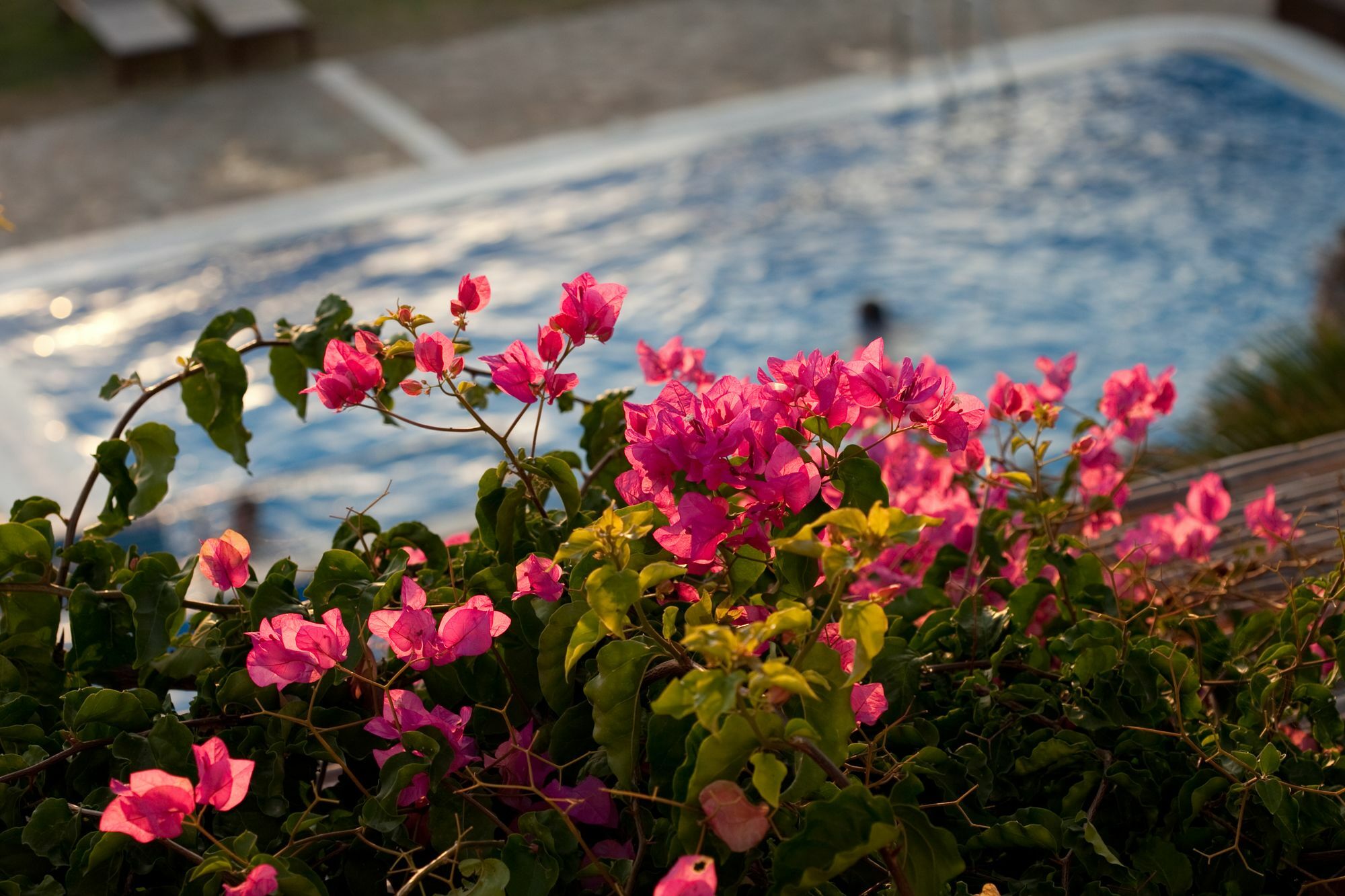 Antonina Hotel Agia Anna  Exteriör bild
